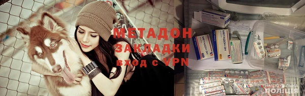 ПСИЛОЦИБИНОВЫЕ ГРИБЫ Абаза