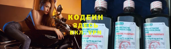 ПСИЛОЦИБИНОВЫЕ ГРИБЫ Абаза