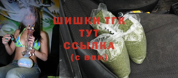 ПСИЛОЦИБИНОВЫЕ ГРИБЫ Абаза