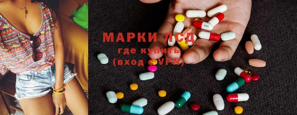ПСИЛОЦИБИНОВЫЕ ГРИБЫ Абаза