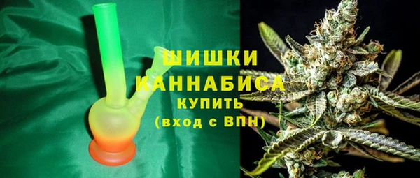 ПСИЛОЦИБИНОВЫЕ ГРИБЫ Абаза