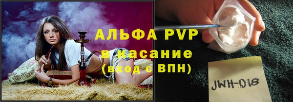ПСИЛОЦИБИНОВЫЕ ГРИБЫ Абаза
