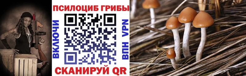 Галлюциногенные грибы мицелий Чебаркуль